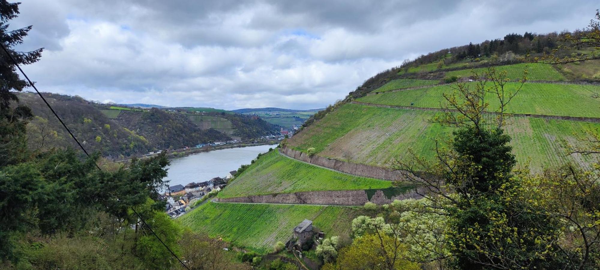 Gemuetliche Wohnung, Kueche, Bad, Netflix, Rheinblick 考布 外观 照片
