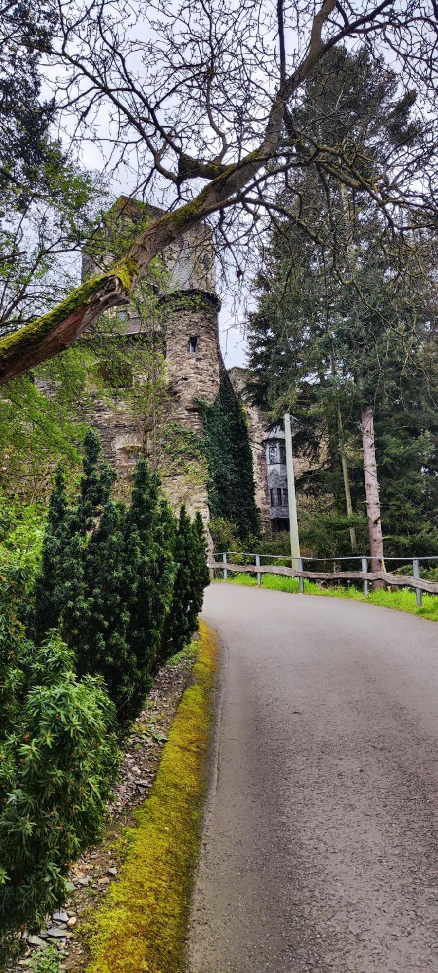 Gemuetliche Wohnung, Kueche, Bad, Netflix, Rheinblick 考布 外观 照片